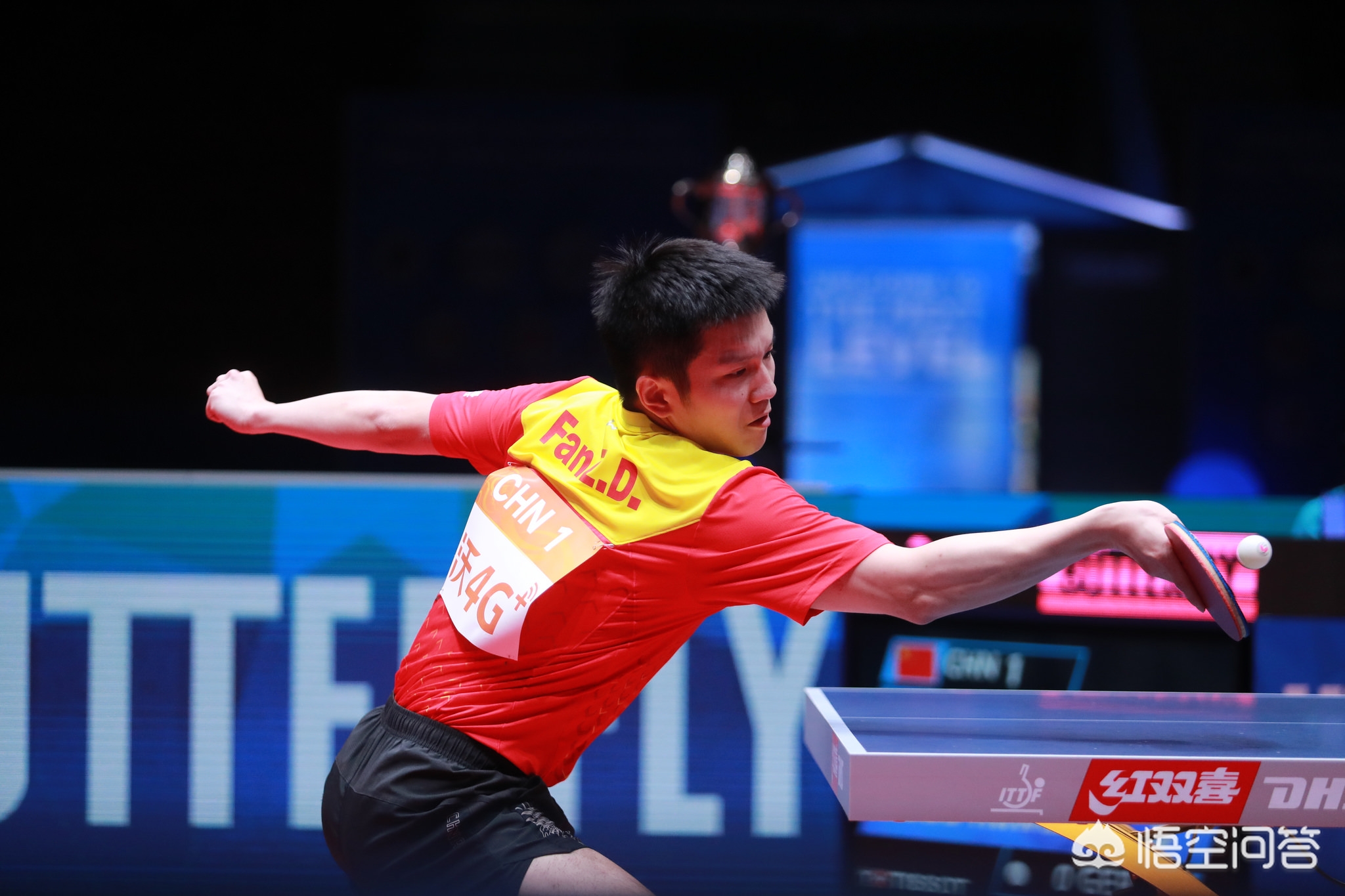 未来的悬念 未来的悬念